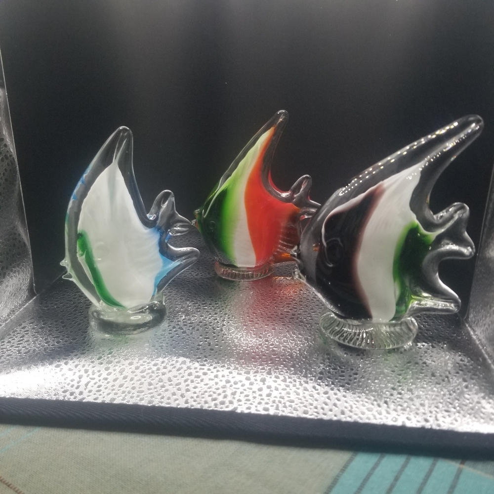 Glass fish